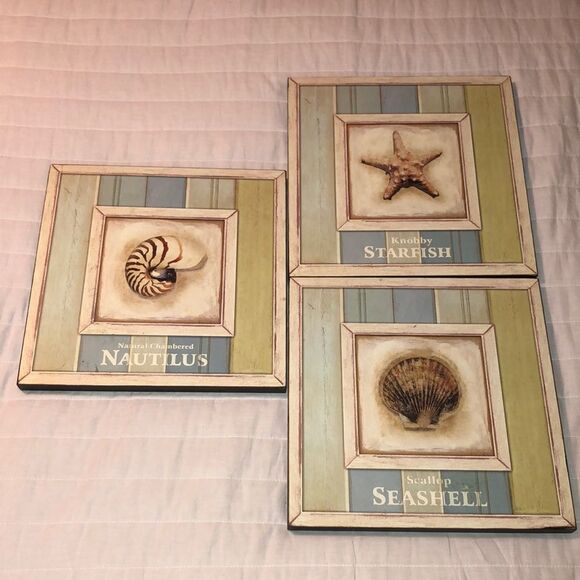 Vintage Style Sea World Shell Collection Wall Art - Picture 1 of 11